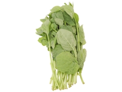 Rau mồng tơi 4KFarm