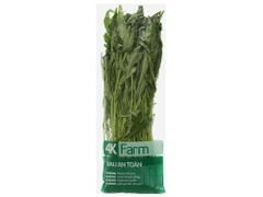 Rau muống 4KFarm