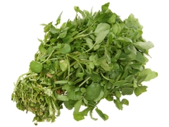 Xà lách xoong Đà Lạt