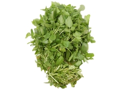 Xà lách xoong Đà Lạt