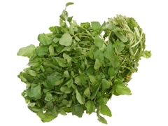 Xà lách xoong Đà Lạt