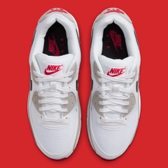Air Max 90 'Light Iron Ore Black' DX0116 101