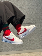 Nike Cortez Leather Forrest Gump DN1791 108