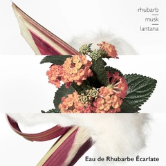 Nước Hoa HERMÈS Women's Mini Fragrance Discovery Set 4x7.5ml