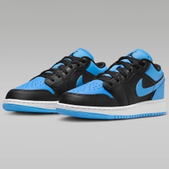 Jordan 1 Low University Blue 553560 041