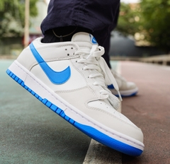Dunk Low Retro Summit White Photo Blue DV0831 108