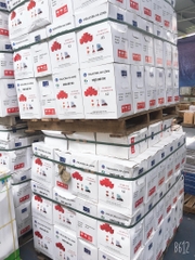 Ngói mũi hài 150 Viglacera Hạ Long