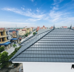 NGÓI EURO TYPE 9V/1M2 MEN BÓNG - XANH RÊU