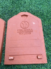 Ngói sò cổ Viglacera Hạ Long II