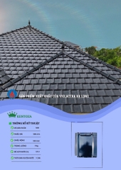Ngói Kentoza Viglacera Hạ Long