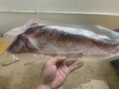 Cá Thác Rút Xương Tẩm Vị - 250g/Con