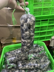 1kg hàu sữa tách vỏ đủ kg