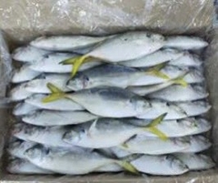 Cá Ngân Tươi Ngon Làm Sạch Cấp Đông - Túi 1Kg