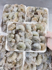 Tôm sống lột khay 500g 20-25 con