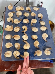 Tôm nõn size lơn còn đuôi 1kg 30-40 con khay 500g