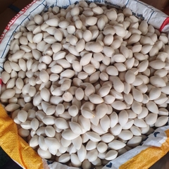 Bạch Quả Tươi Nguyên Vỏ - Túi 500Gr