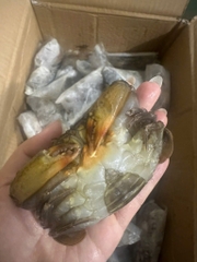 Cua lột size 6 con 1kg net 7