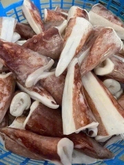 Đuôi Mực Ống Đại Dương Bự Chà Bá - Khay 1Kg