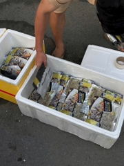 Da Cá Rô Phi dai giòn sừng sực túi 200g