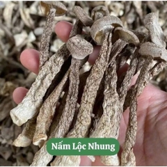 Nấm Lộc Nhung Khô Nguyên Cây gói 200g