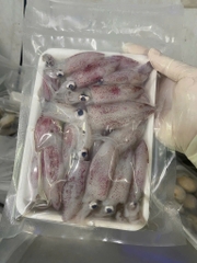 Mực Sữa Mini Tươi Ngon - Túi 1kg Net 8