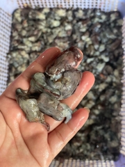 Đầu Tôm Sú Tươi - Khay 1kg