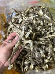 NẤM LỘC NHUNG KHÔ 1kg