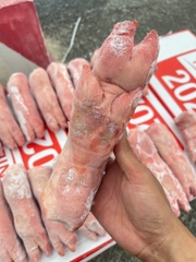 Móng heo trước hàng Tonnies thùng 10kg