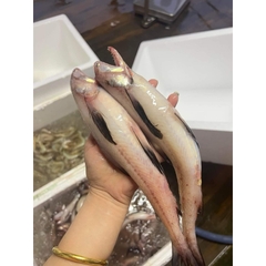 CÁ KHOAI khay 1kg tươi ngon