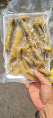 Hải Sâm Sịn Gai Vàng con To khay 500g