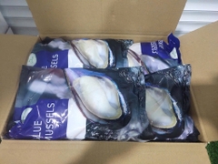 Vẹm Xanh Nửa Vỏ New Zealan - Túi 1Kg
