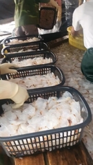 Chân Sứa Túi 500g luôn nước 1kg