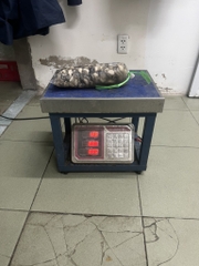 1kg hàu sữa tách vỏ đủ kg