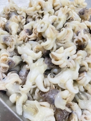 Đầu mực nang size 15-20 cái khay 450g