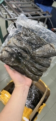 Khô cá sặc bổi - Túi 500Gr 10-12 con