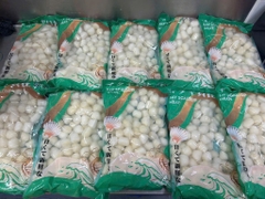 Cồi Sò Điệp Nhật Size 60-80 - Túi 1Kg net 7