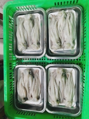 Đầu Mực Lá Đại Dương Tươi khay 500g