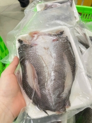 Cá lóc xẻ 1 nắng ướp gia vị vừa ăn 1kg