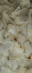 Chân Sứa Túi 500g luôn nước 1kg