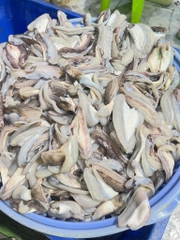 Dè mực nang nhỏ túi 1kg net 8