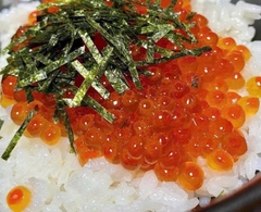 Trứng cá hồi nga hủ 220g