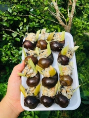 Ốc Nhồi Thịt Khay 12 con