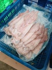 Mực ống xẻ 1 nắng size 5-6 con 1kg