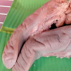 Lưỡi Heo Nhập Khẩu - Túi 900g