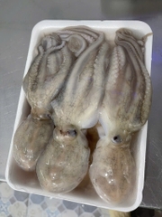 Bạch tuột tươi (tua 1 da ) khay 400g