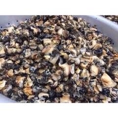 Ruột Ốc Bưu Làm Sạch - Hộp 1Kg