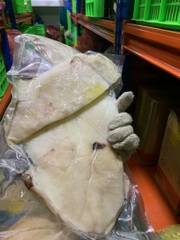 Mực Một Nắng Hút Chân Không - Túi 1Kg