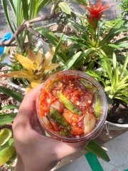 Muối ớt Tôm Khô Campuchia hủ 500g