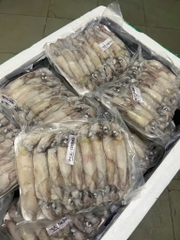 Mực trứng 15-20 con net 7