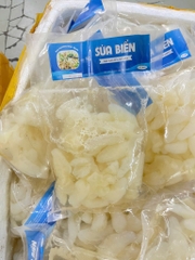 Sứa rong biển túi 500g luôn nước 1kg